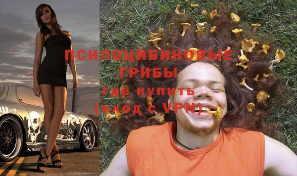 бутират Алзамай