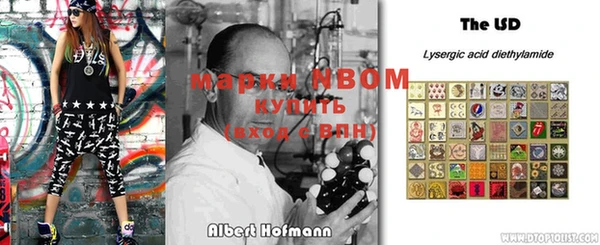 прущие грибы Дмитриев