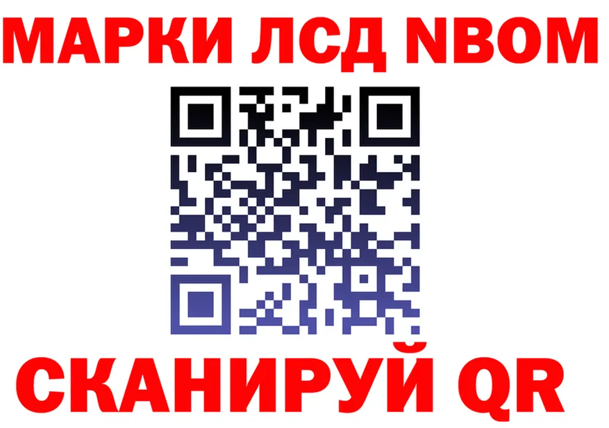 Альфа ПВП СК вход площадка блэк спрут Северская